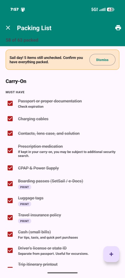 The cruise packing list